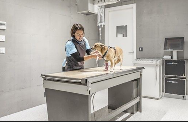 Agriculture and Vetrinary