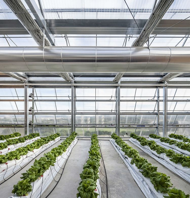 Education and Research